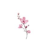 cherry blossom tattoos for women