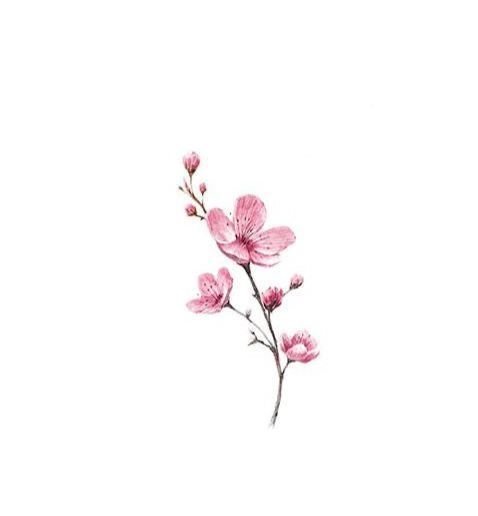 cherry blossom tattoos for women