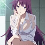 Hitagi Senjougahara | Bakemonogatari
