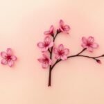 cherry blossom tattoos for women