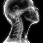 Beneath the surface, we all share the same intricacies of anatomy. This X-ray vi