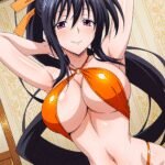 Akeno Himejima | DxD