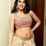 DM FOR PROMOTIONS#nikkitamboli
#nikkitambolihot
#lehenga
#lehengacholi
#le...