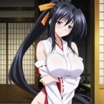 Akeno Himejima | High School DxD