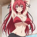 Mio Naruse | Testament of Sister New Devil