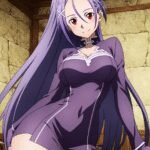 Mito "Tozawa Misumi" | Sword Art Online