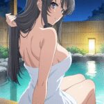 Mai Sakurajima | Rascal Does Not Dream of Bunny Girl Senpai